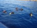 5_DSC01059_.jpg