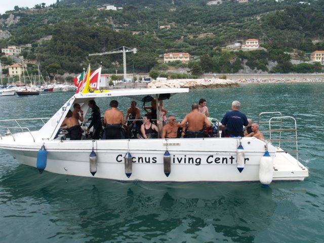 ilcycnus.jpg