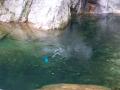 sottacqua.jpg