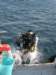 iltuffo_small.jpg