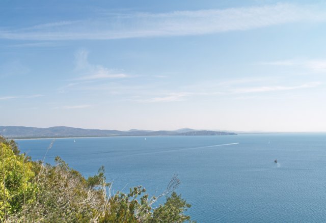 labaia.jpg