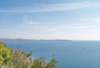 labaia_small.jpg