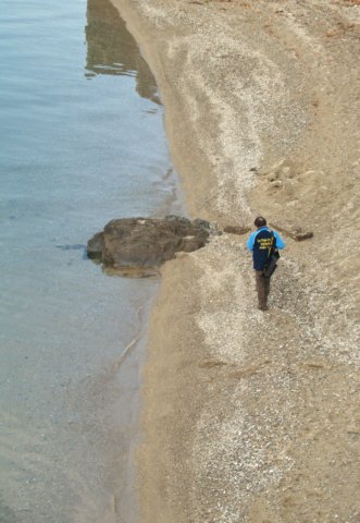 laspiaggia.jpg