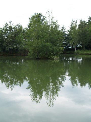 riflesso.jpg