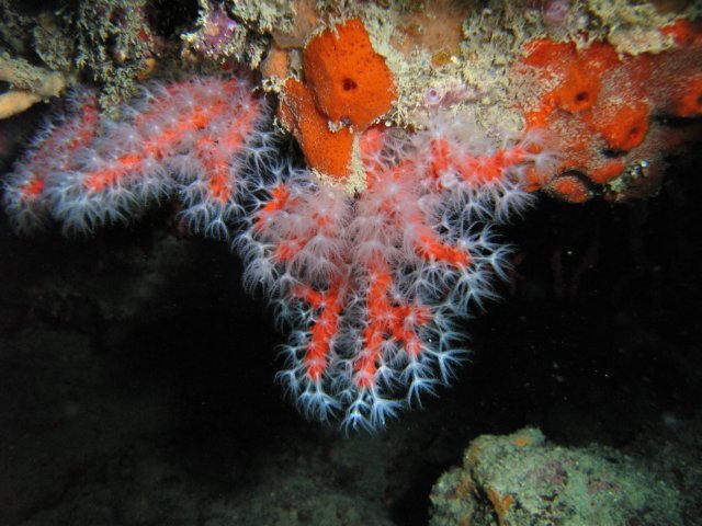 rimg0010.jpg