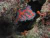 rimg0012_small.jpg
