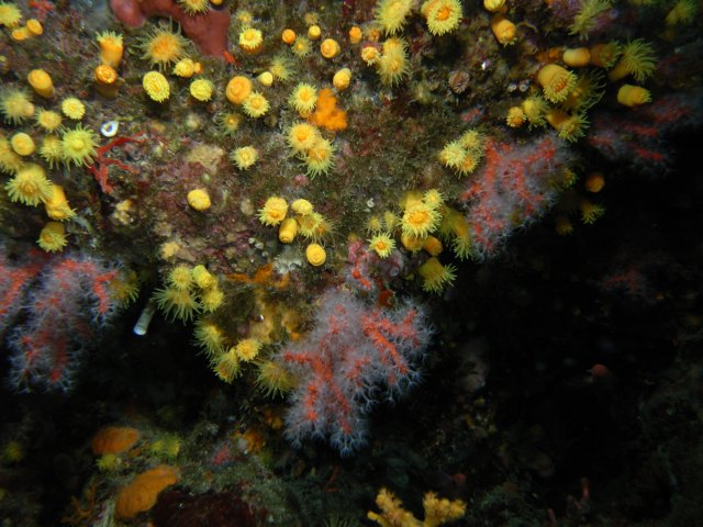 rimg0042.jpg