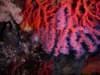 dscn0748_small.jpg