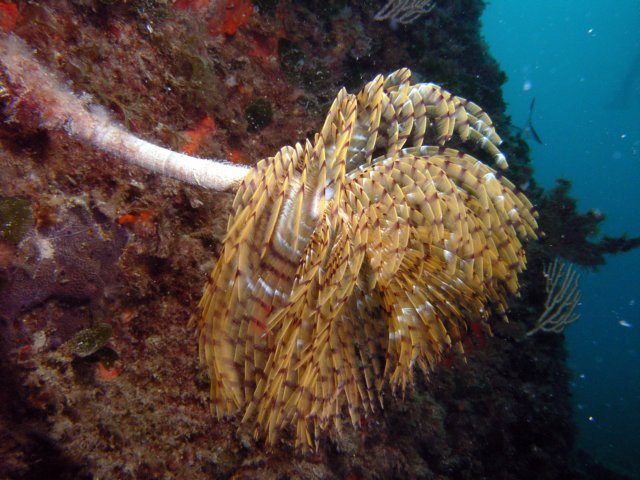 imag0040.jpg