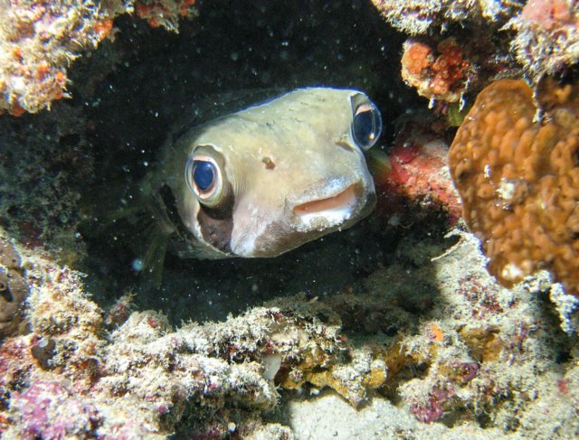 photo9.jpg