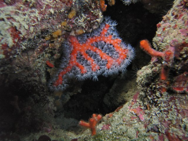 rimg0012.jpg