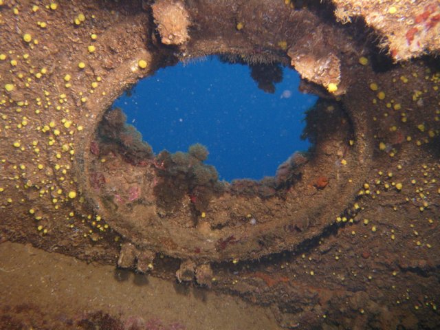 rimg0033.jpg