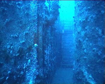 haven19