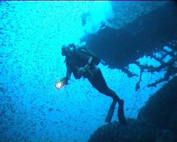 haven2