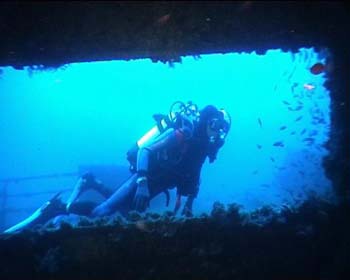haven28