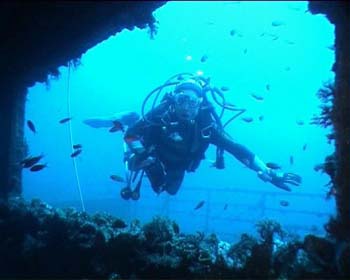 haven31
