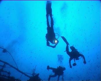 haven36
