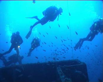 haven37