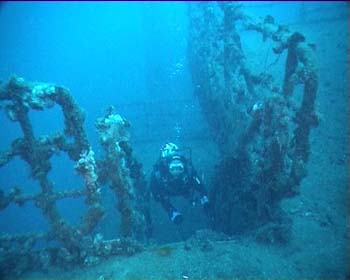 haven40