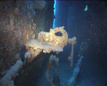 haven7