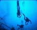 haven36