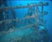 haven39