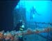 haven44
