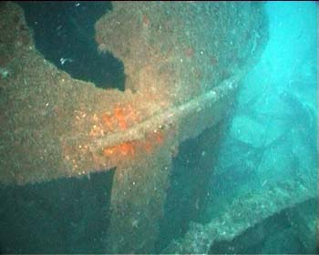 mwhd0634