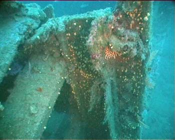 mwhd0641